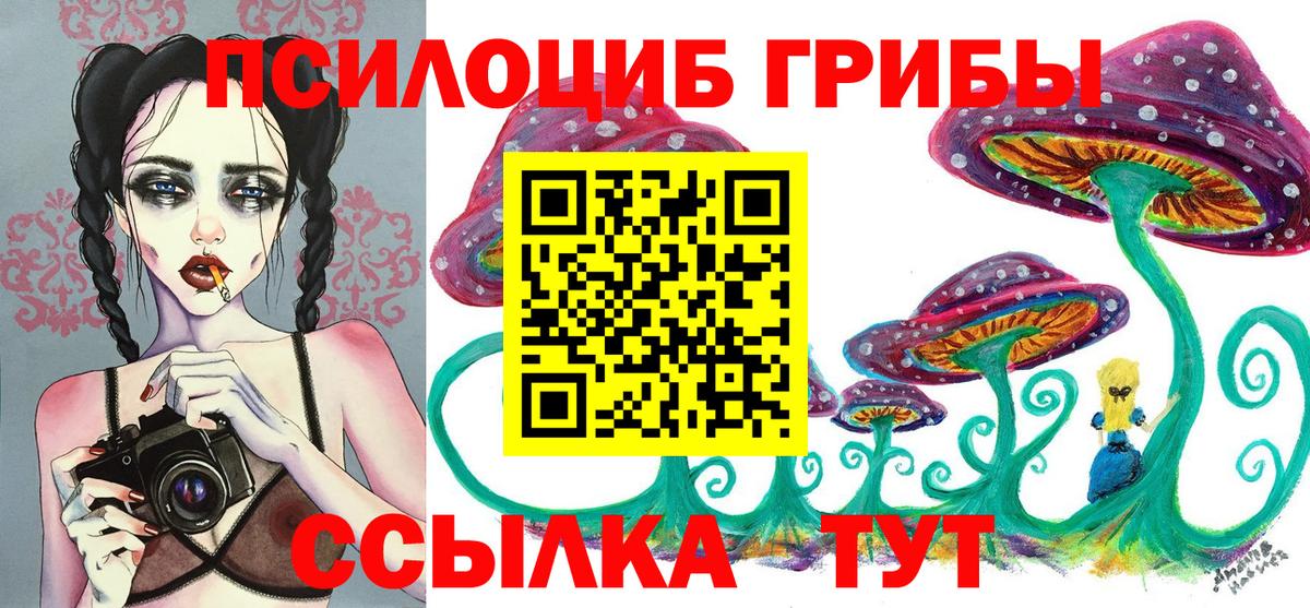 Галлюциногенные грибы Psilocybine cubensis Балтийск